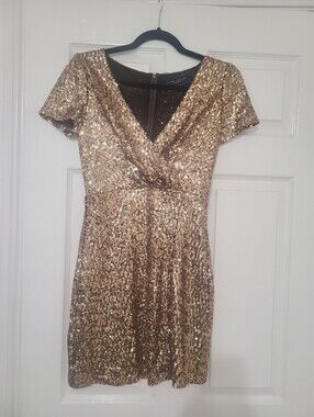 Akira Chicago Sequin Dress